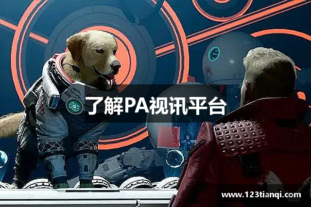 了解PA视讯平台